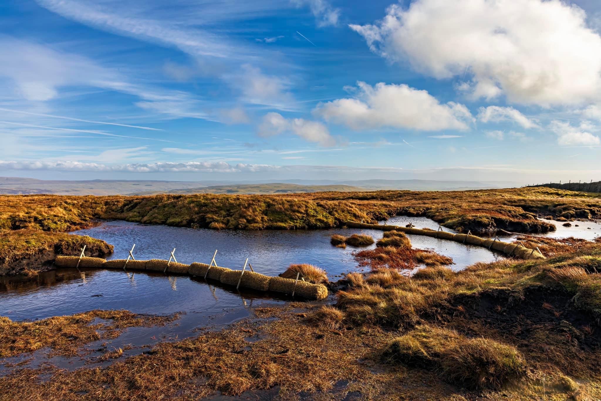 This image depicts a scenic landscape featuring a stream with three sections of straw bale barriers, surrounded by marshla...
